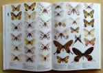 Smart, Paul - The illustrated Encyclopedia of the Buitterfly World