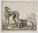 Simon de Vlieger (ca. 1601-1653) - [Antique print, etching] Greyhound and lying hound/Windhond en andere liggende hond, published ca. 1600-1650.
