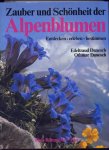 DANESCH, EDELTRAUD & OTHMAR - Zauber und Schönheit der Alpenblumen - Entdecken - erleben - bestimmen