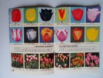  - Bloembollenfolder Fa.W.M.van der Zande, Hillegom