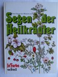Graubner, Rudolf und Marga Graubner - Vom Nutzen der Pflanzen und Segen der Heilkräuter
