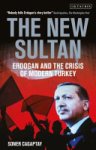 Soner Cagaptay - The New Sultan