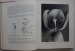 Jaeger Paul, vert. Hubert B en Hubert de Niet A - Het mysterieuze leven van de bloem Met 165 platen in koperdiepdruk  waarvan 79 in kleuren benevens vele tekeningen