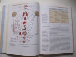 Morrison, Val -v Bennett, Paul - Introduction to Health Psychology
