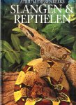  - SLANGEN en REPTIELEN - A. Cleve, grootformaat - uitg. Atrium