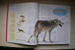 Bruce Fogle - DE NIEUWE ENCYCLOPEDIE VAN DE HOND