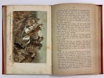 J. Hendrik van Balen - Een ruiter van de Compagnie, De Engelschen op Amboina, Het beleg van Batavia (1619-1630)