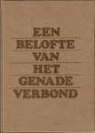 Dam, Ds. Chr. van - Een belofte van het genadeverbond