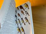 Pena, Martin R de la & M Rumboll - Birds of Southern South America and Antarctica - Princeton Illustrated Checklist