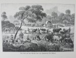 Holub, Emil - Von der Capstadt ins Land der Maschukulumbe. Reisen im sudlichen Afrika in den Jahren 1883-1887