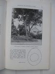 Laere, R. Van  et Dubois, L. - L'Avocatier. Son introduction et sa culture au Congo Belge et au Ruanda-Urundi.
