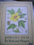 Pabst, G. - Köhler's Atlas der Medizinal-Pflanzen von G. Pabst