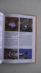 Bejcek, Vladimir, Karel Stastny - Geïllustreerde vogel encyclopedie; ruim 700 vogels uit de gehele wereld; hun leefwijze, gedrag, leefgebied, uiterlijke kenmerken, nestbouw, balts- en broedgewoonten