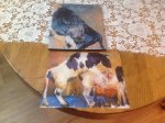 Felius - Felius paintings / druk 1