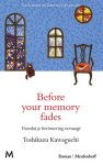 Toshikazu Kawaguchi - Before Your Memory Fades