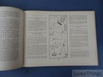 Bauweraerts, H. / Monden, L. / Van Laer, J. (ed). - Dit nieuw seizoen III : Zomer.