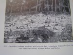 Ganssen, Robert - Bodengeographie mit besonderer Berücksichtigung der Böden Mitteleuropa.
