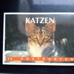 nvt - Katzen. 30 Postkarten