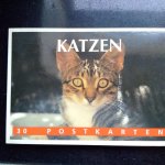 nvt - Katzen. 30 Postkarten