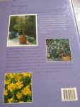 Fieke Hoogvelt - de Tuin