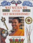 Anita Ganeri - Wat Weten We Over Boeddhisme ?