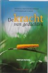 Martijn Frijters - De kracht van gedachten