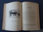 Frechkop, Serge. - Animaux proteges au Congo Belge et dans les territoire sous mandat du Ruanda-Urundi.