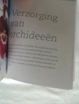 Rittershausen, Wilma & Brian (Fotografie Linda Burgess) Carole McGlynn; Hanneke van Dijk - Orchideeën / Orchideeen. Alles over de teelt en verzorging van orchideeen.