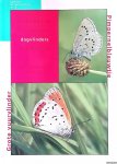 Ommering, G. van & I. van Halder & C.A.M. van Swaay - Bedreigde en kwetsbare dagvlinders in Nederland: toelichting op de Rode Lijst