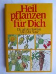 Quinche, Robert & Bossard, Eugen - Heilpflanzen für Dich - Die geheimnisvollen Kräfte der Natur Quinche, Robert & Bossard, Eugen - Heilpflanzen für Dich - Die geheimnisvollen Kräfte der Natur
