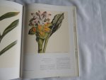 RIX, Martyn (introduction by) - Art in Nature. Over 500 Plants illustrated from Curtis's Botanical Magazine.