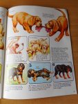 Swallow, Su - Frolic. Leer uw hond beter kennen. Gedrag, training en voeding
