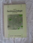 Mayer, P. - Gezinssociologie. Een inleiding