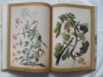Blunt, Wilfrid & Raphael, Sandra - Herbarius & Cruydtboeck - beroemde geïllustreerde plantenboeken