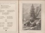 redactioneel. Illustraties van Ferdinand Leeke en J.G. Füllhaas - Blüten und Perlen deutscher Dichtung für Frauen ausgewählt von Frauenhand