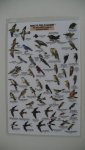 mac's field guide, the mountaineers - to southwest park and garden birds