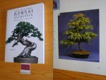 Tan, Chye - Inspirerende bonsai ontwerpen. Combineer de kracht van zen en natuur