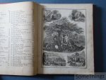 Albert Knapp [Einleitung.]. - Bilder-Bibel für die Jugend oder Biblische Geschichte des Alten und Neuen Testaments in den Worten der heiligen Schrift. Mit belehrenden und erbaulichen Anmerkungen. Mit 128 in Stahl gestochenen Bildern auf 24 Tafeln.