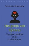 Antonio Damasio - Het gelijk van Spinoza