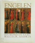 Malcolm Godwin - Engelen Een bedreigde soort