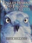 Hollands, David - Eagles Hawks and Falcons of Australia
