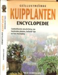 Vermeulen, Nico .. Omslagontwerp Ton Wiebelt .. Redaktie Martha Cazemier - Kuipplanten Encyclopedie