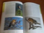 Stüber, Eberhard - Die Tierwelt der Hohen Tauern. Wirbeltiere
