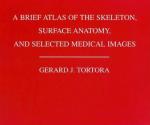 Gerard J. Tortora - A Brief Atlas of the Human Skeleton, Surface Anatomy and Selected Medical Images