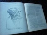 Jonge; N. de - LUTHER, een held des geloofs - 1899 - Door wien God het Evangelie aan Zijn kerk heeft hergeven