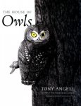 Angell, Tony - The House of Owls