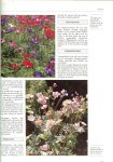 Voskuil  Julia  en Daan Smit  met Marilies Bogaerts  & Jonneke J.D. Krans + Marjolijn Laroo - Groene boek Encyclopedie Bloemen en Planten