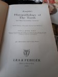 Boyle Paul E - Histopathologie of the teeth