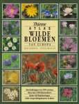 B. Gibbons, P. Brough - Atlas wilde bloemen van Europa