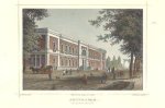AMSTERDAM - ARTIS - Amsterdam. Natura Artis Magistra.